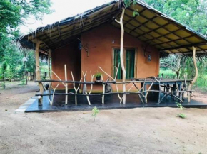 කැලෑව Kelewa Eco Resort